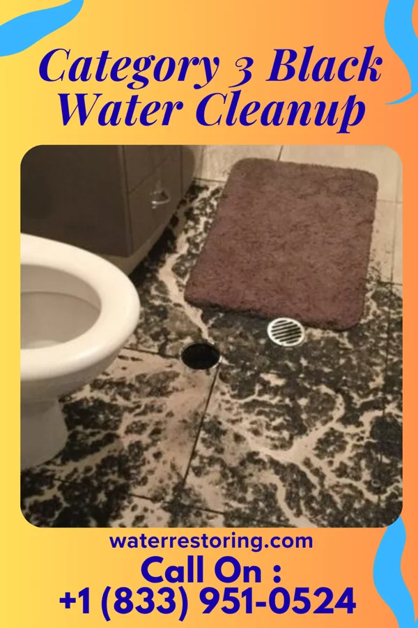 Category 3 Black Water Cleanup in Volcano Golf Course, HI
