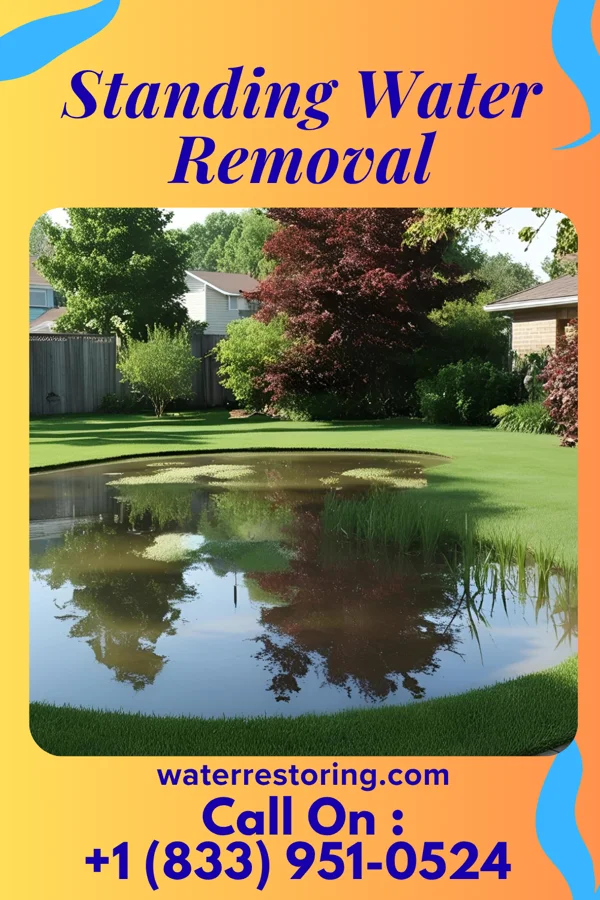 Standing Water Removal in Volcano Golf Course, HI